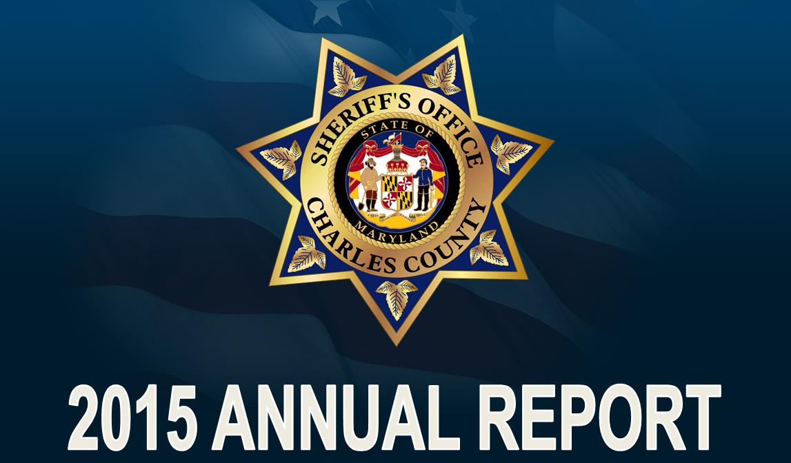 2015 Annual Report Header