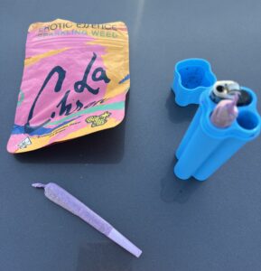 Suspected-Cannabis-020824-289x300.jpg
