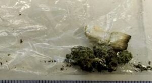 cannabis-300x165.jpg