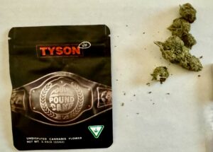 cannabis-121024--300x215.jpg